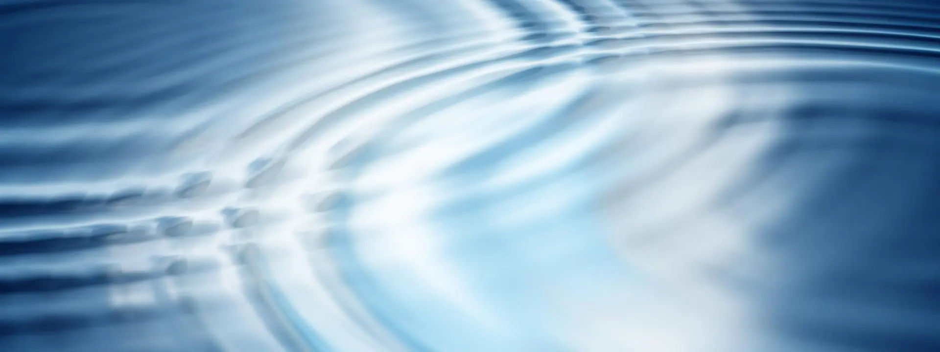 dive into your next project by utilizing the diversity of our team members